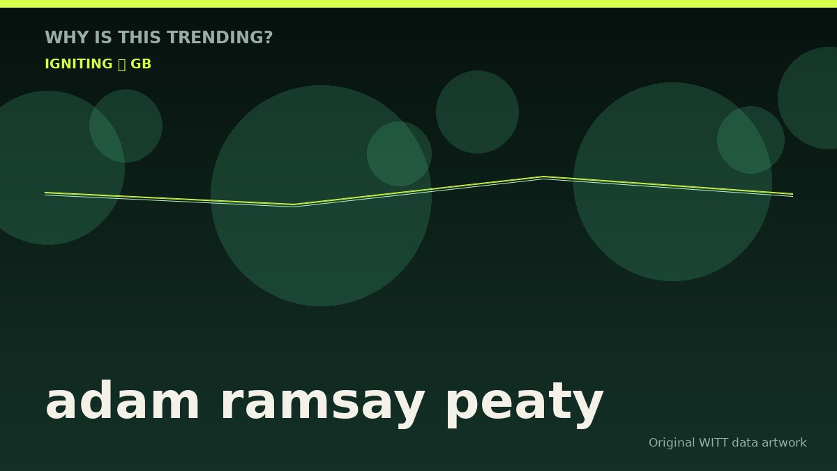 adam ramsay peaty original attention timeline illustration