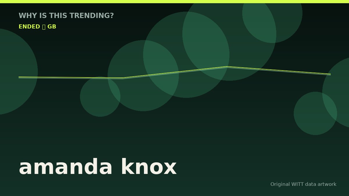 amanda knox original attention timeline illustration