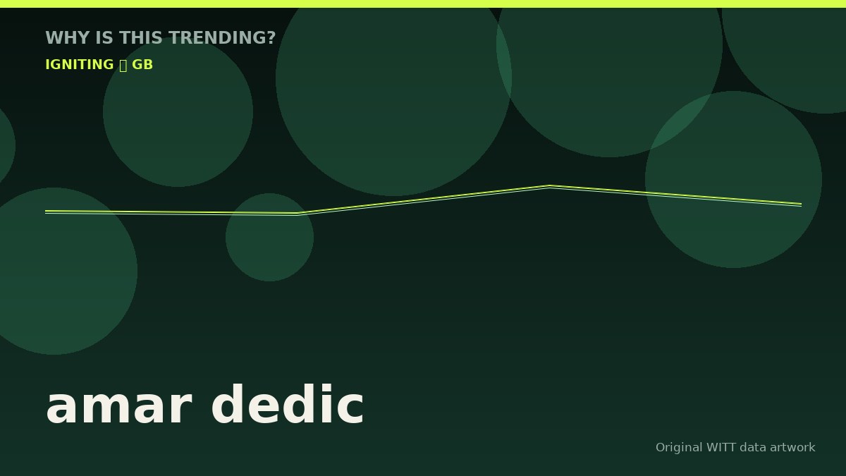 amar dedic original attention timeline illustration