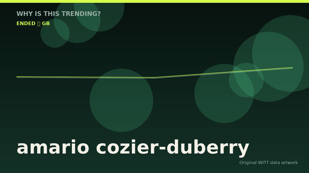 amario cozier-duberry original attention timeline illustration