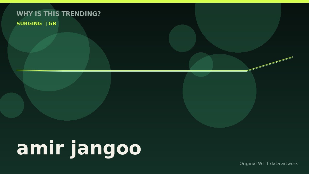 amir jangoo original attention timeline illustration