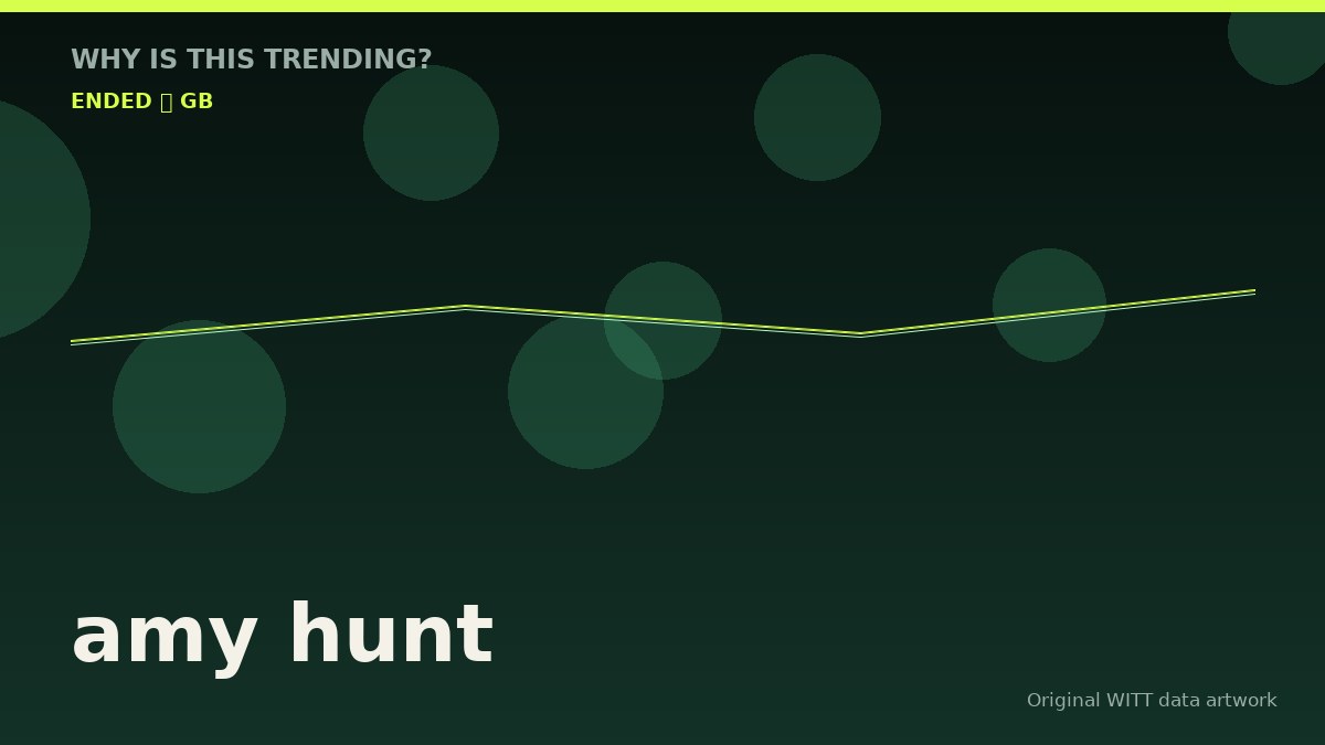 amy hunt original attention timeline illustration