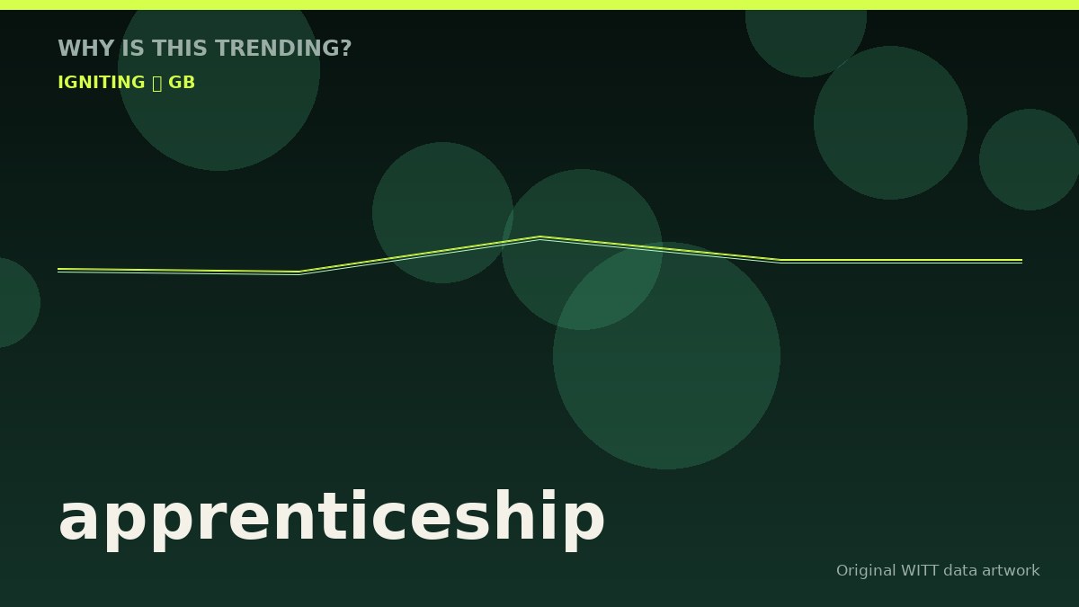 apprenticeship original attention timeline illustration