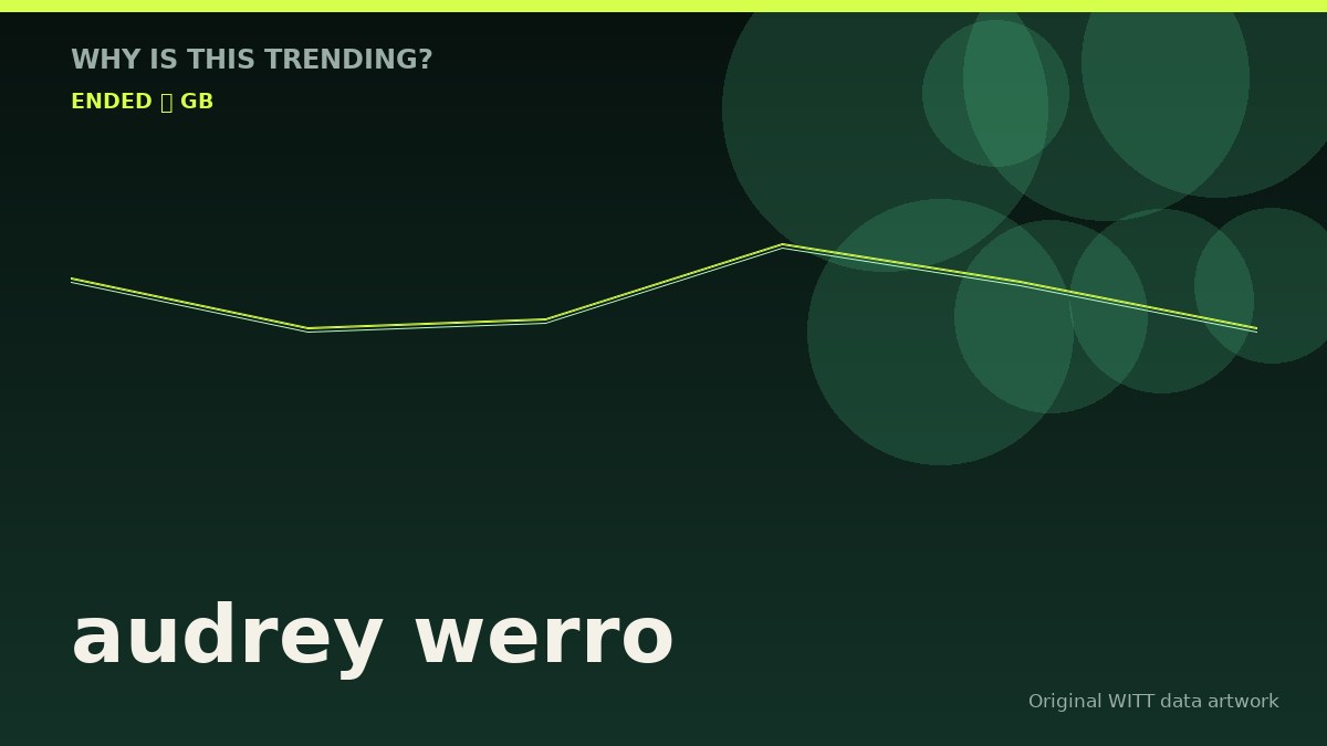 audrey werro original attention timeline illustration