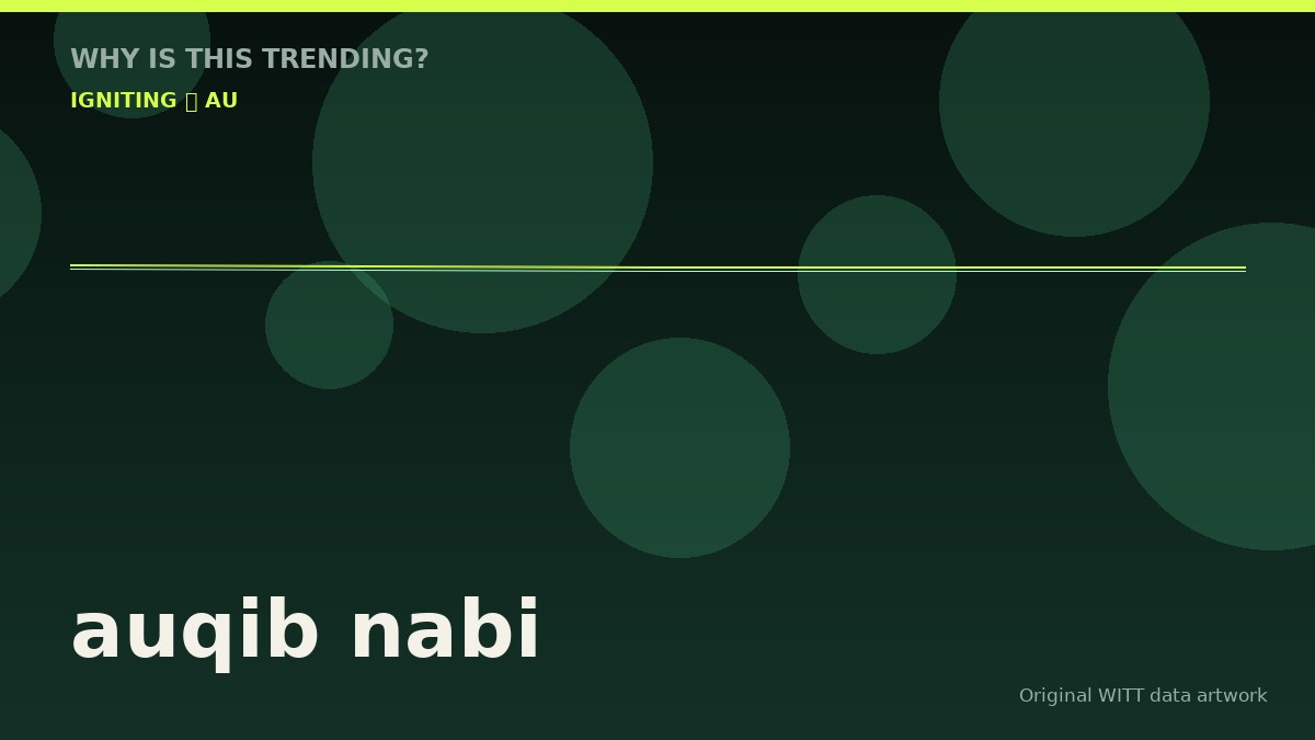 auqib nabi original attention timeline illustration