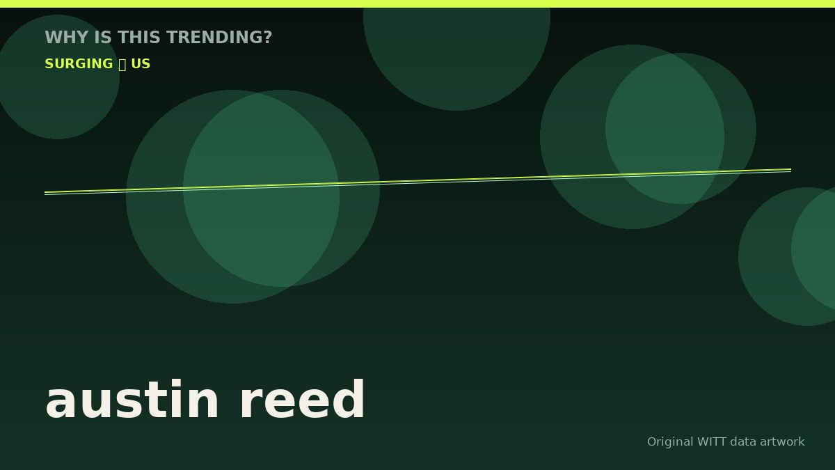austin reed original attention timeline illustration