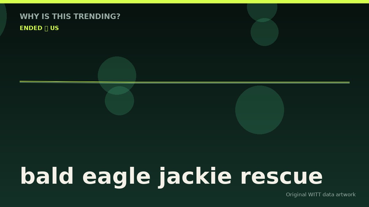 bald eagle jackie rescue original attention timeline illustration