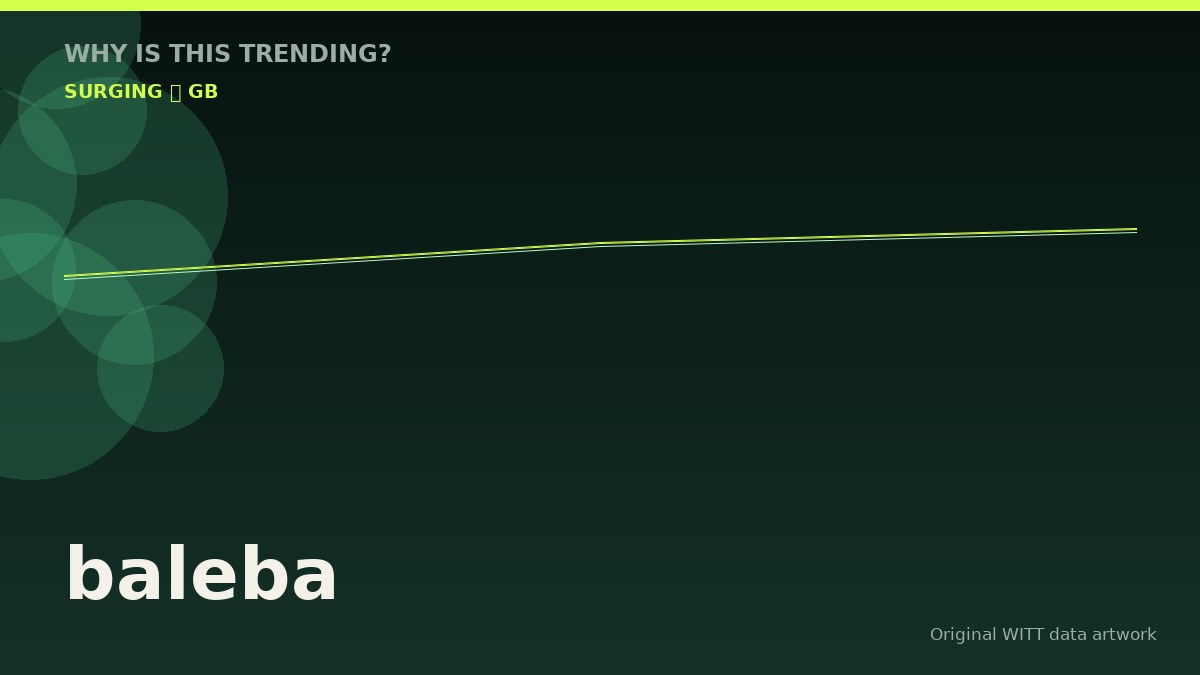 baleba original attention timeline illustration