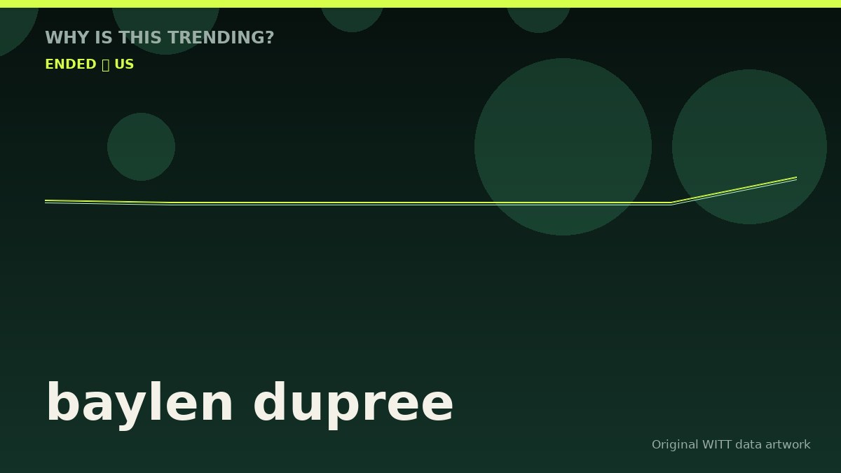 baylen dupree original attention timeline illustration
