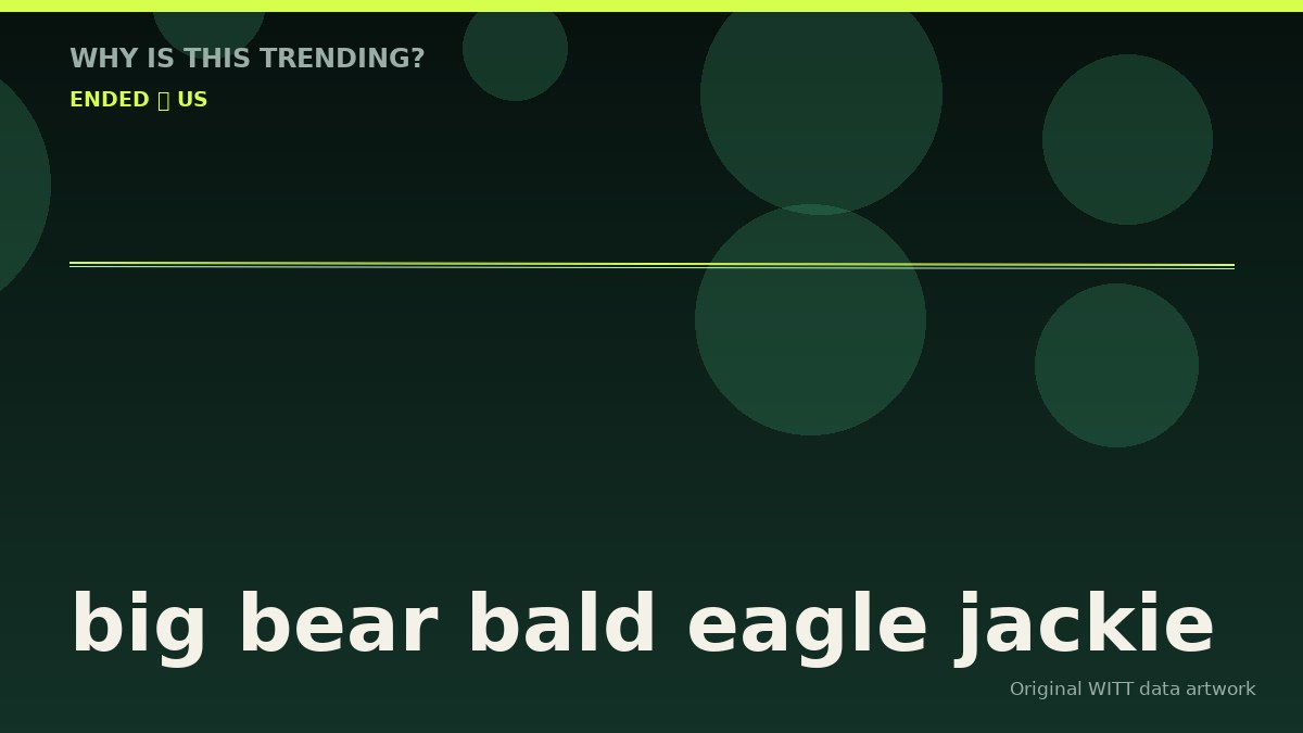 big bear bald eagle jackie original attention timeline illustration
