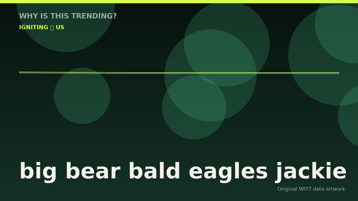 big bear bald eagles jackie original attention timeline illustration