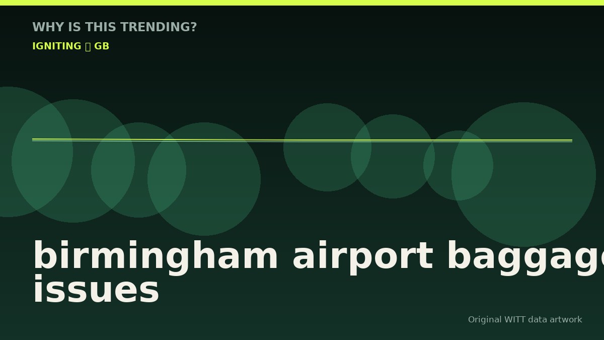 birmingham airport baggage issues original attention timeline illustration