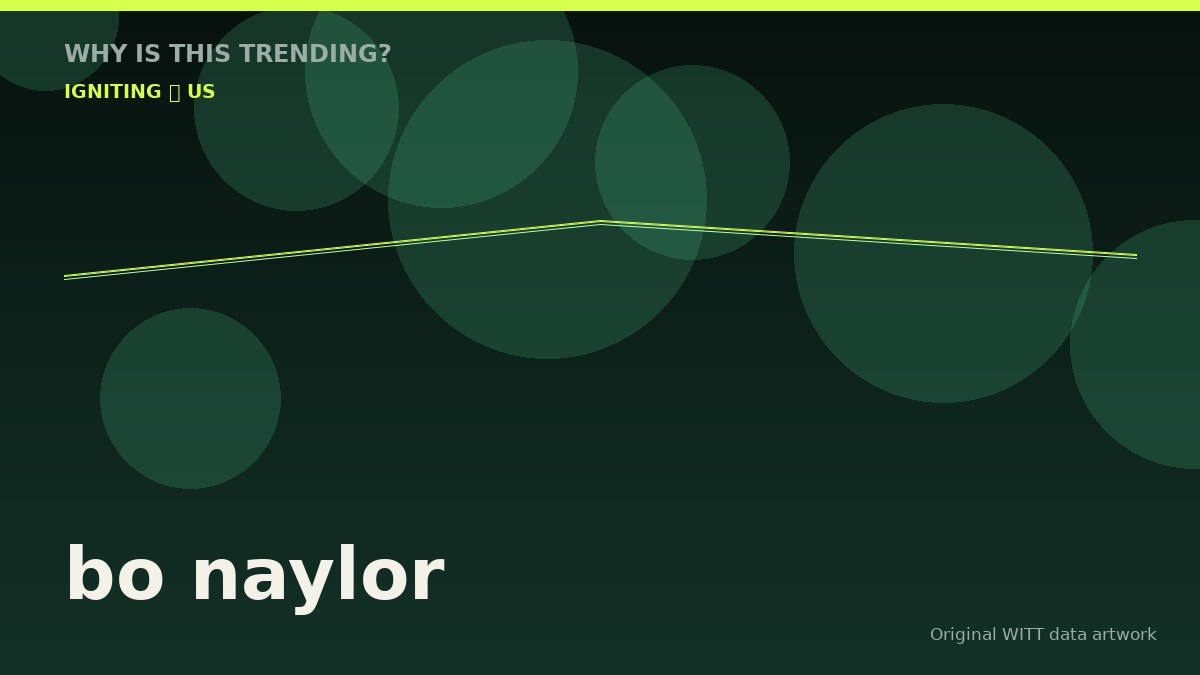 bo naylor original attention timeline illustration