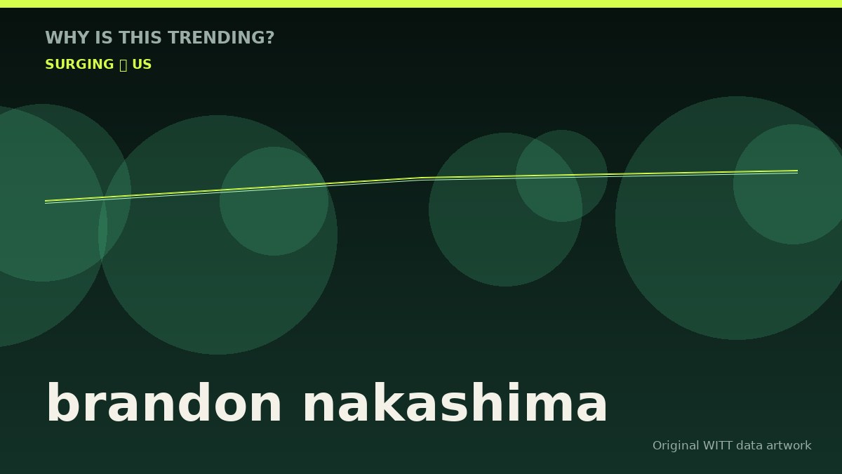 brandon nakashima original attention timeline illustration
