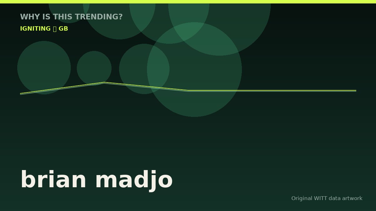 brian madjo original attention timeline illustration