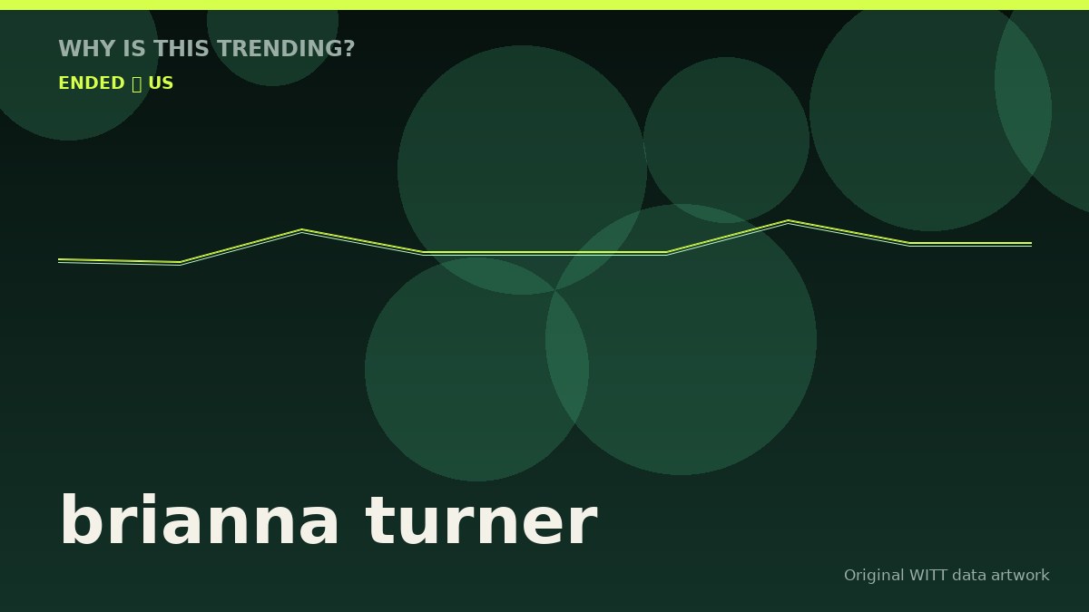 brianna turner original attention timeline illustration