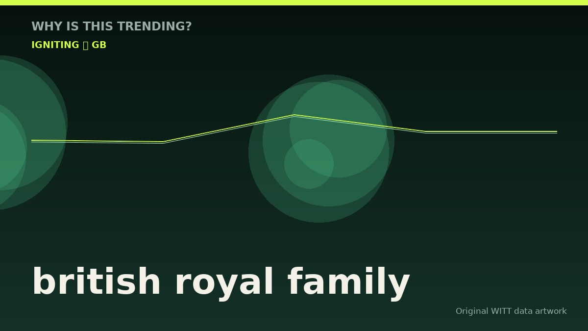british royal family original attention timeline illustration