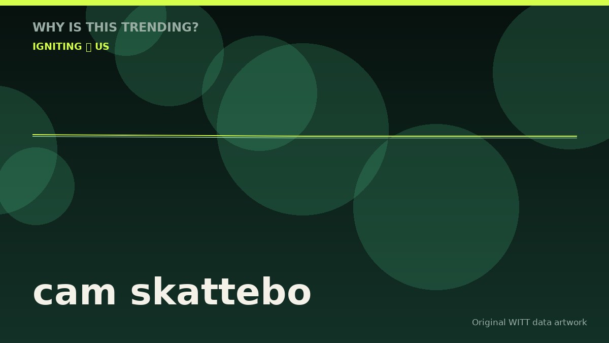 cam skattebo original attention timeline illustration
