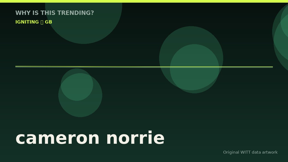 cameron norrie original attention timeline illustration
