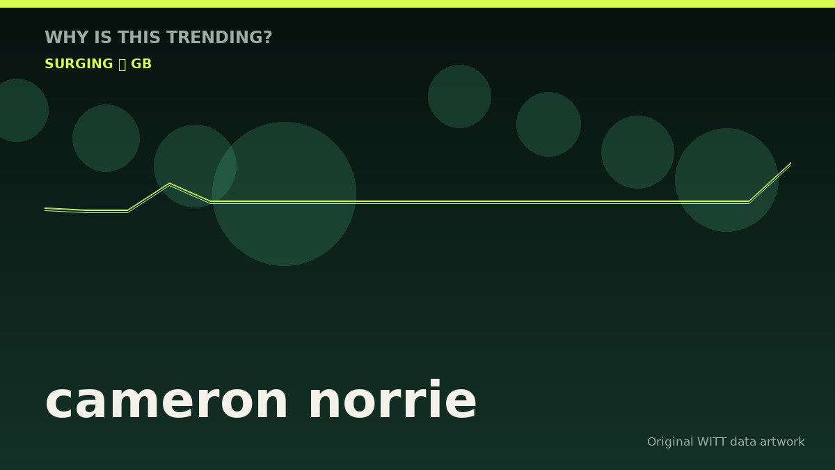 cameron norrie original attention timeline illustration