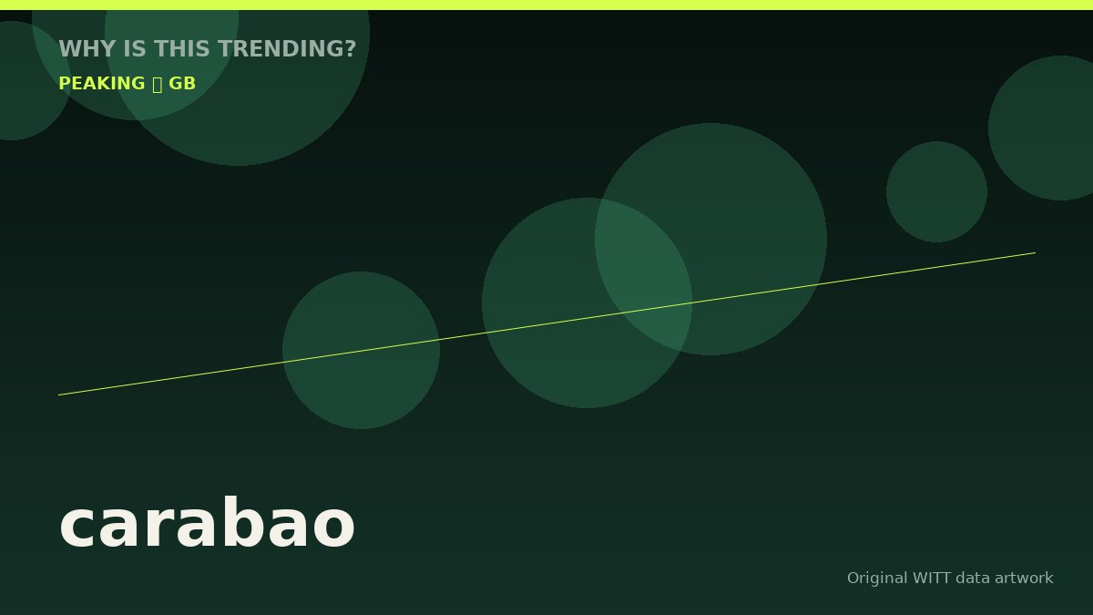 carabao original attention timeline illustration