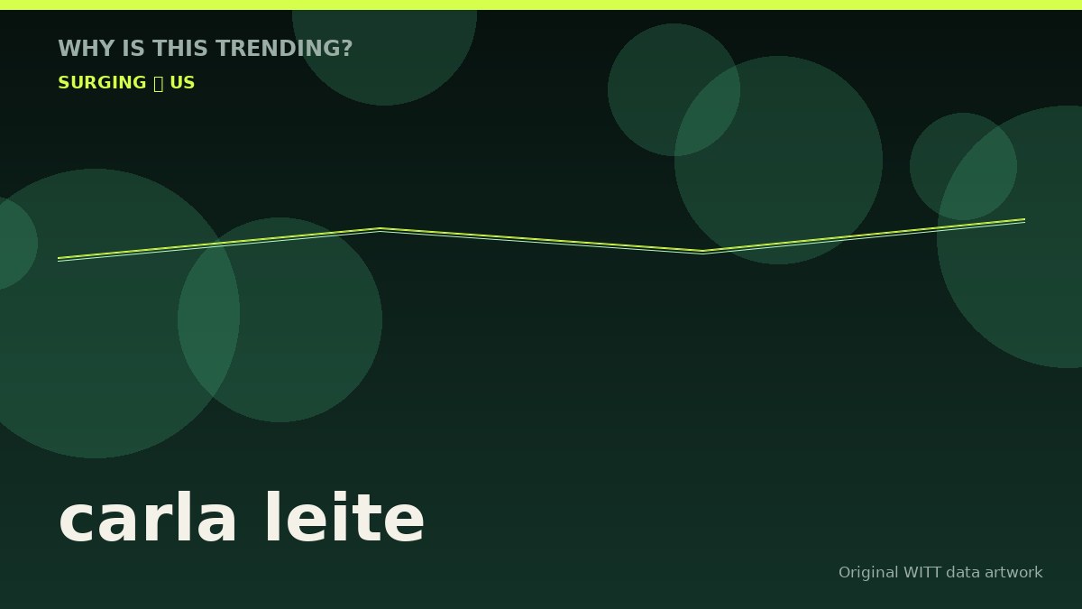 carla leite original attention timeline illustration