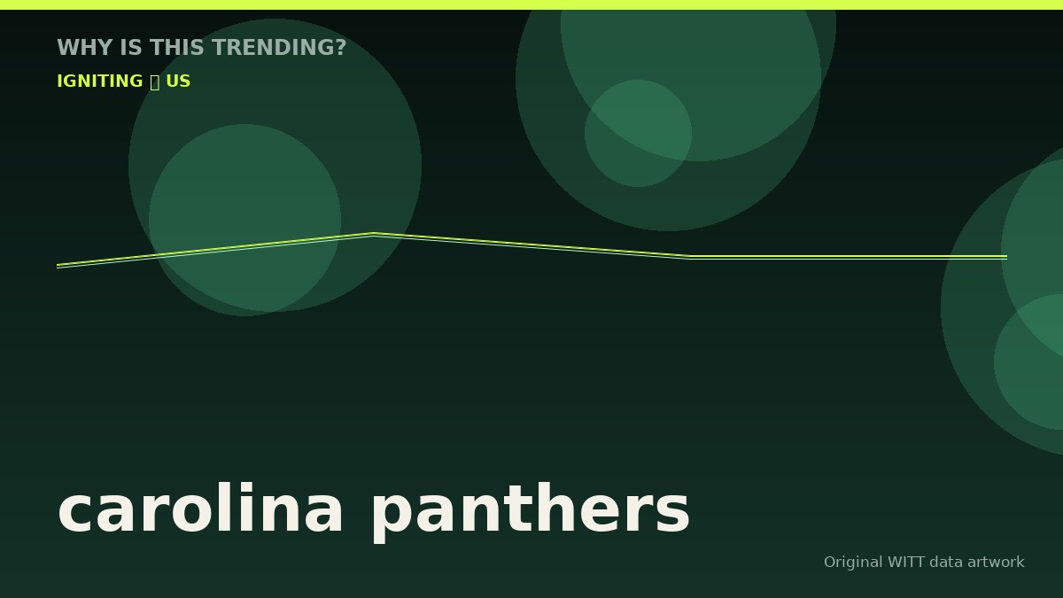 carolina panthers original attention timeline illustration