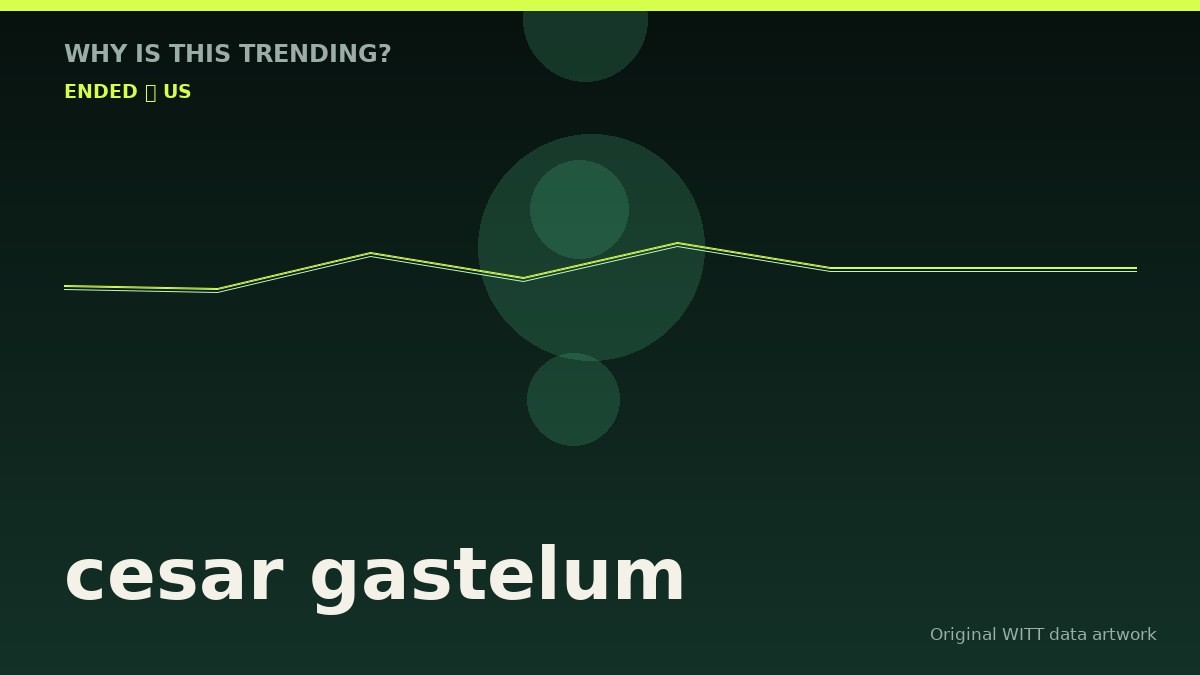 cesar gastelum original attention timeline illustration