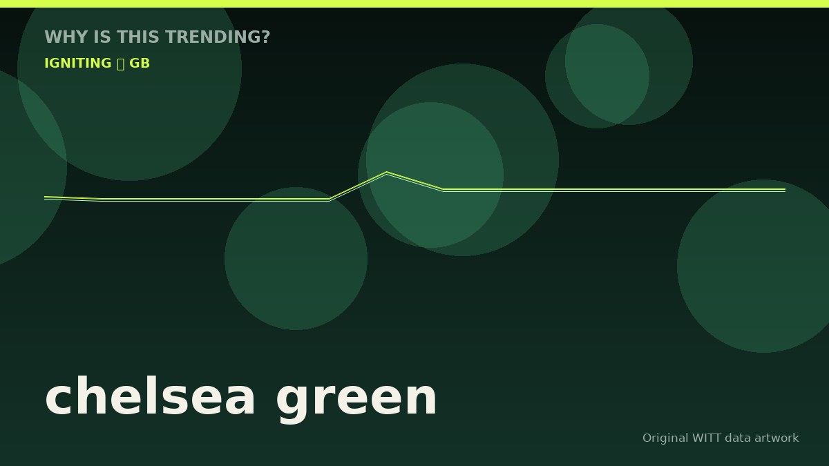 chelsea green original attention timeline illustration