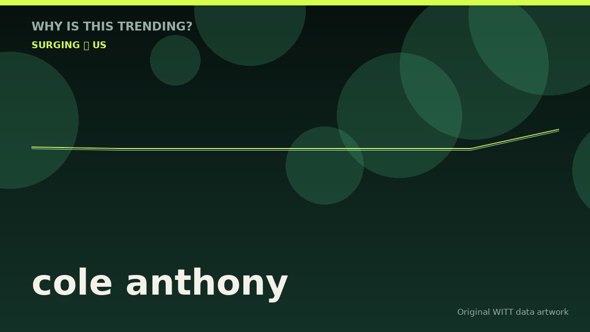 cole anthony original attention timeline illustration