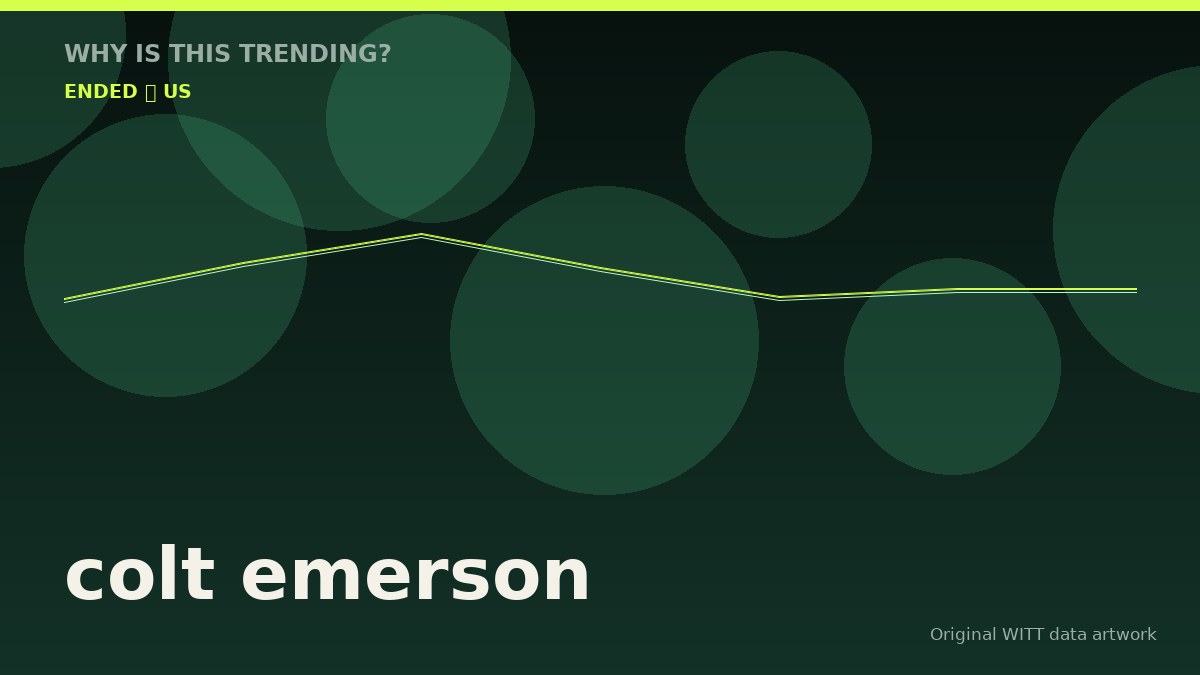 colt emerson original attention timeline illustration
