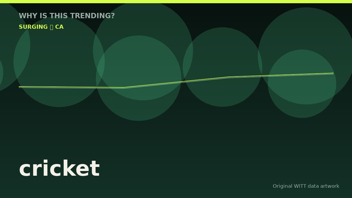 cricket original attention timeline illustration