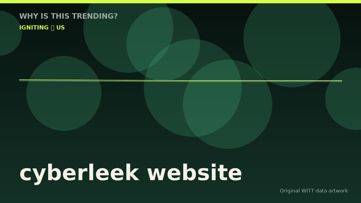 cyberleek website original attention timeline illustration