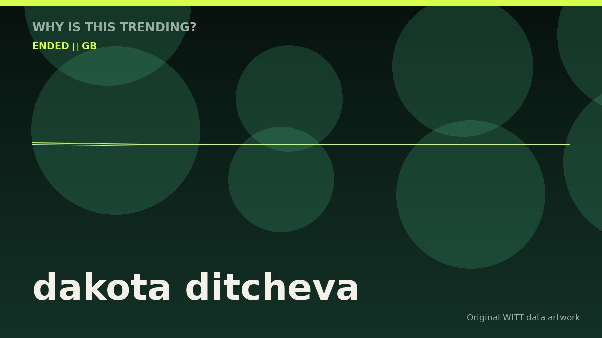 dakota ditcheva original attention timeline illustration