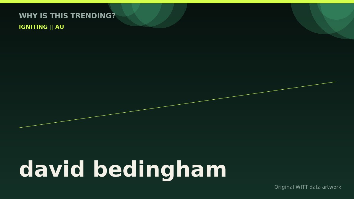 david bedingham original attention timeline illustration