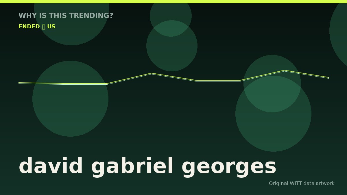 david gabriel georges original attention timeline illustration