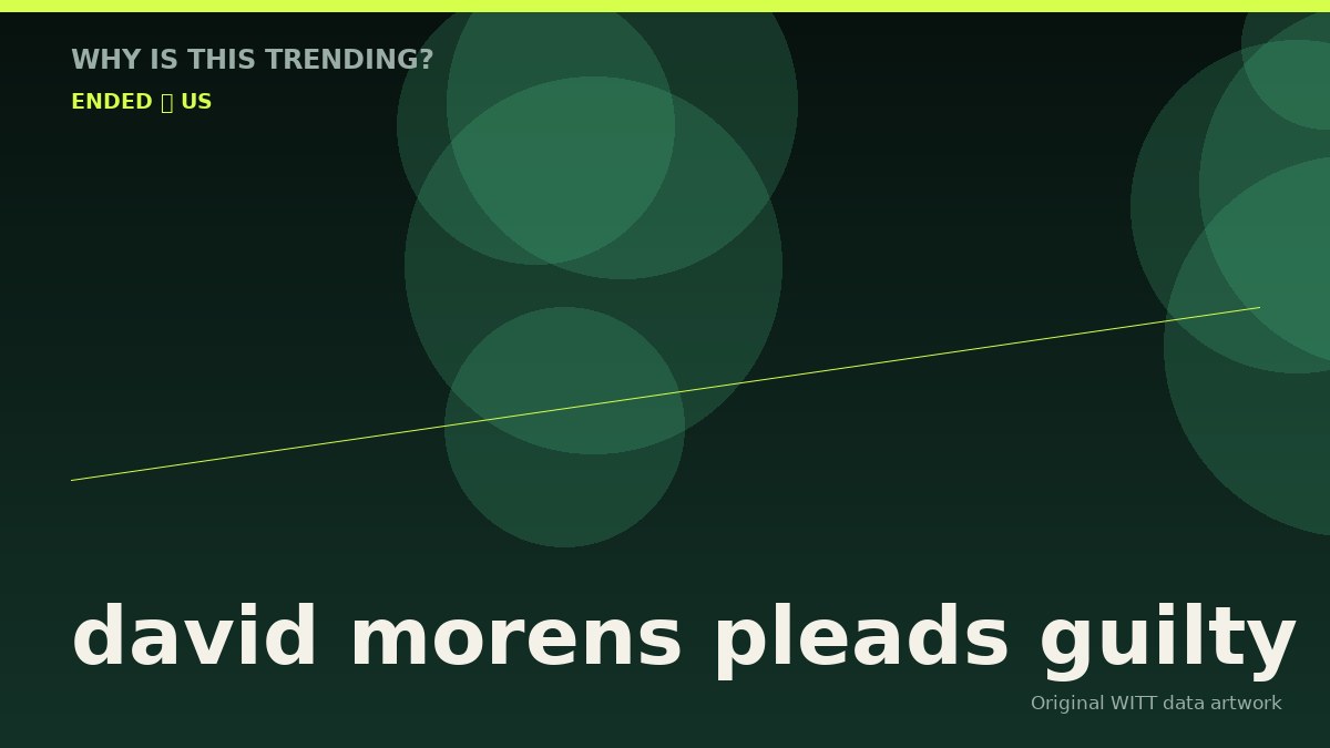 david morens pleads guilty original attention timeline illustration