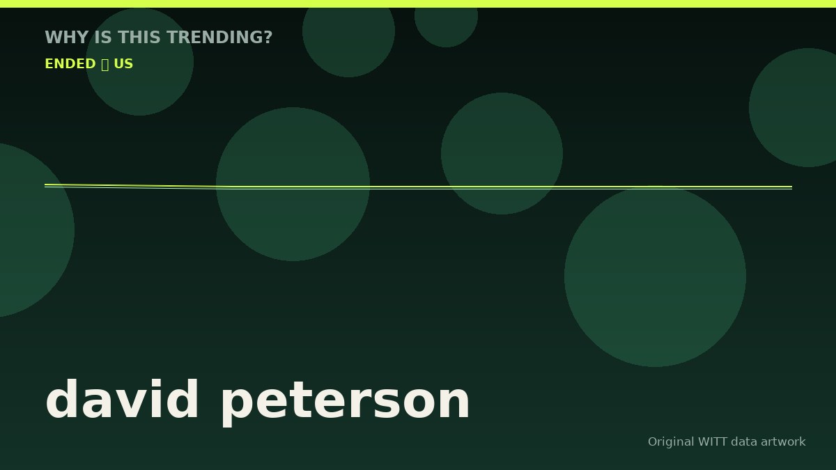 david peterson original attention timeline illustration