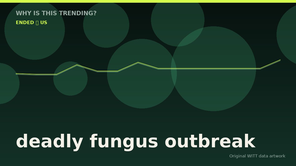 deadly fungus outbreak original attention timeline illustration