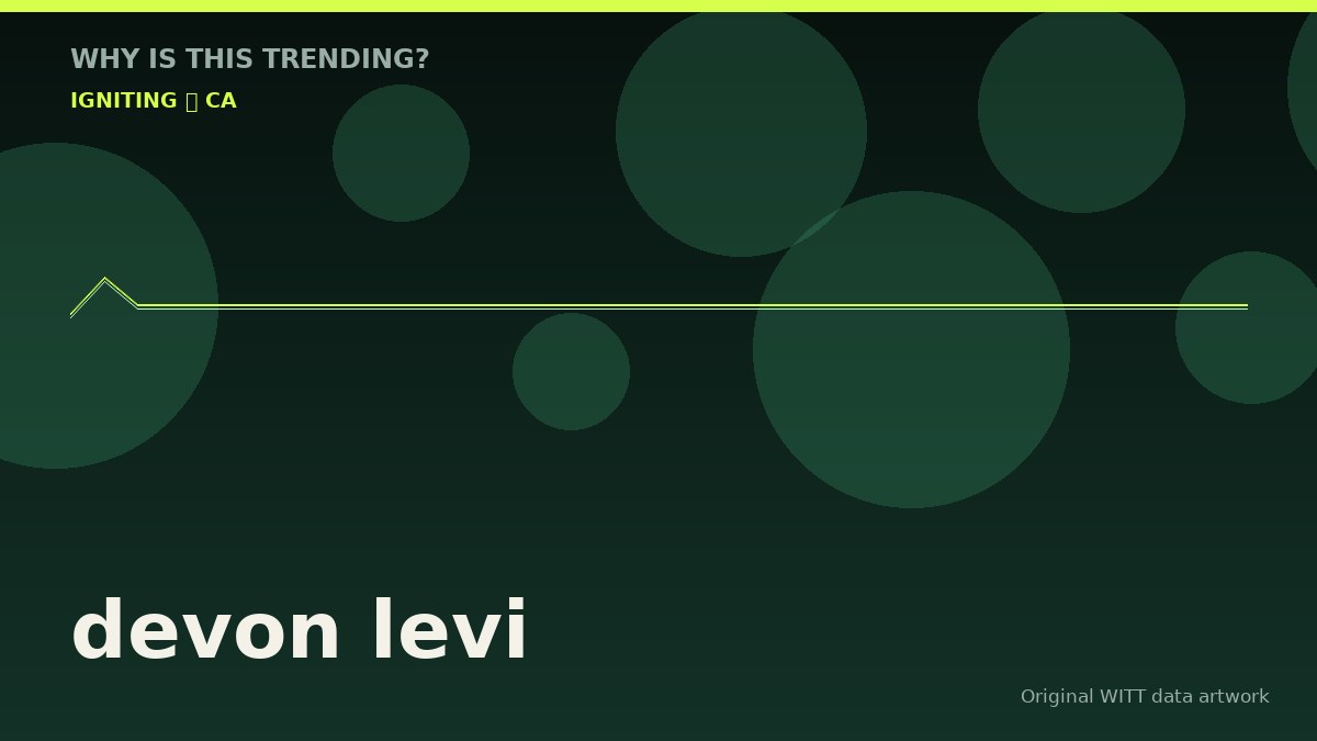 devon levi original attention timeline illustration
