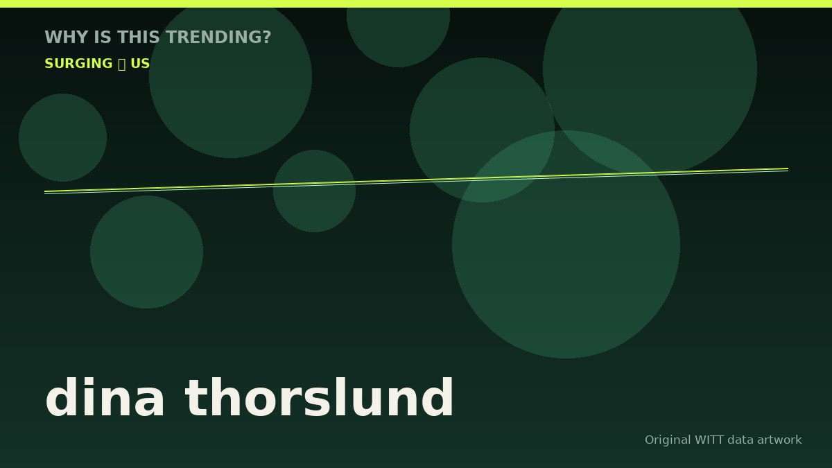 dina thorslund original attention timeline illustration