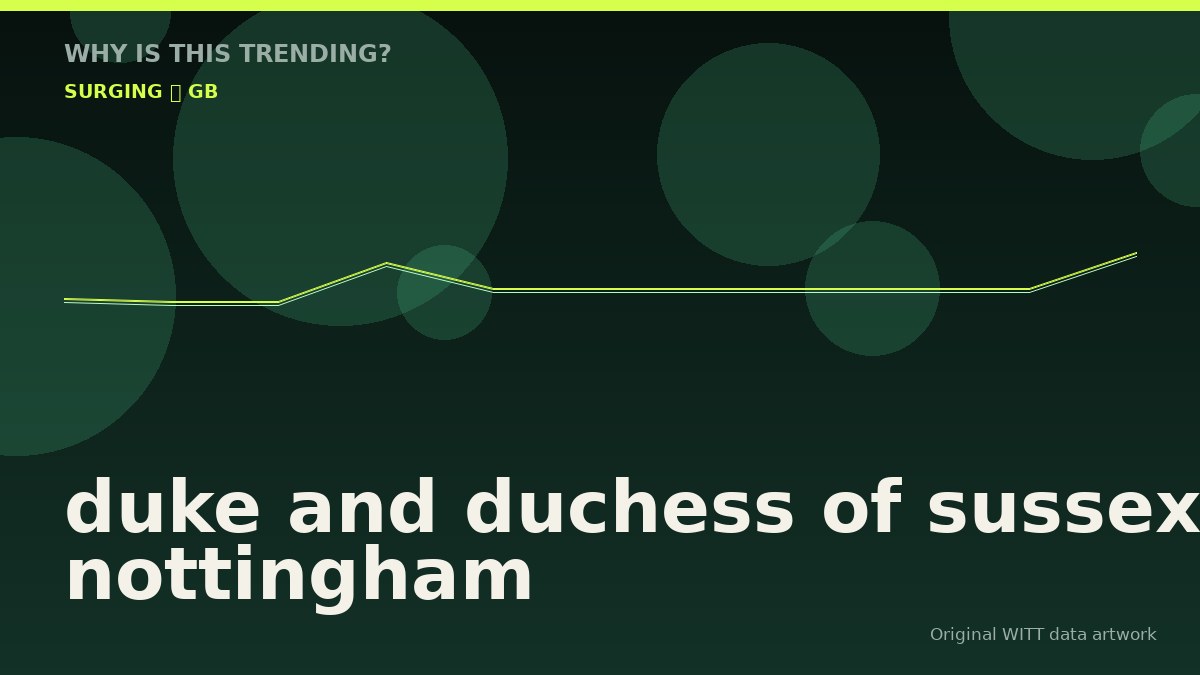 duke and duchess of sussex nottingham original attention timeline illustration