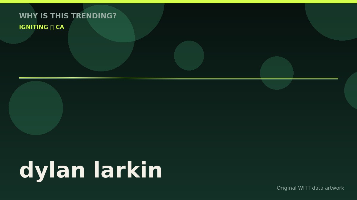 dylan larkin original attention timeline illustration