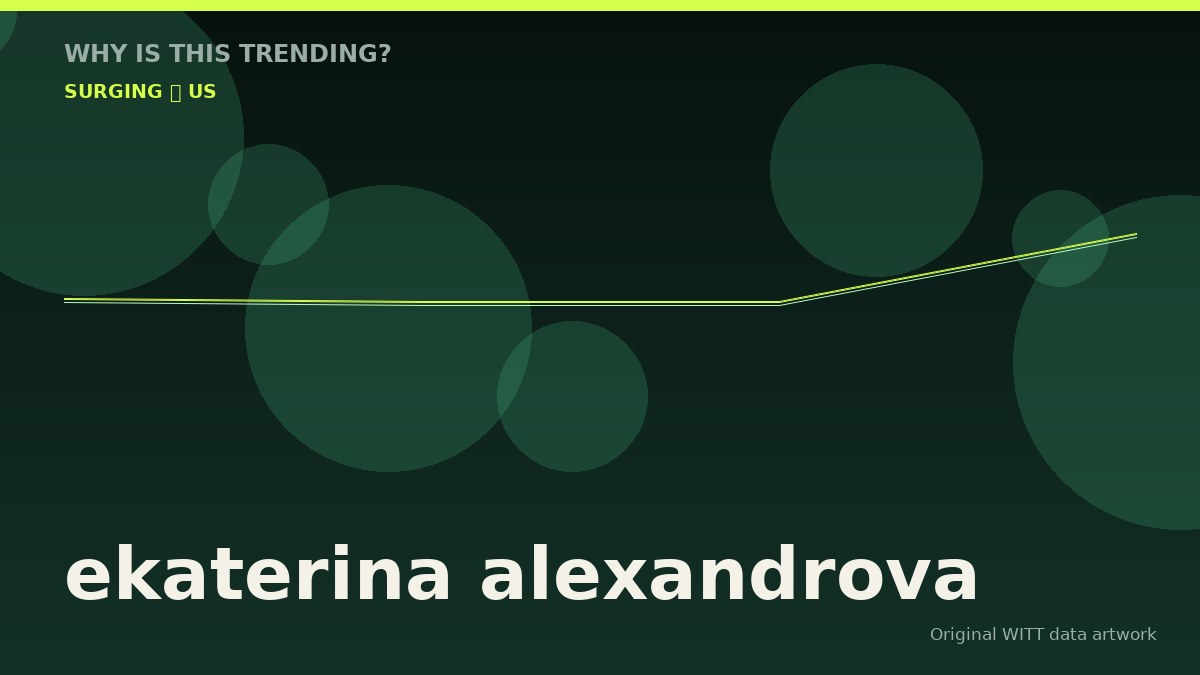 ekaterina alexandrova original attention timeline illustration