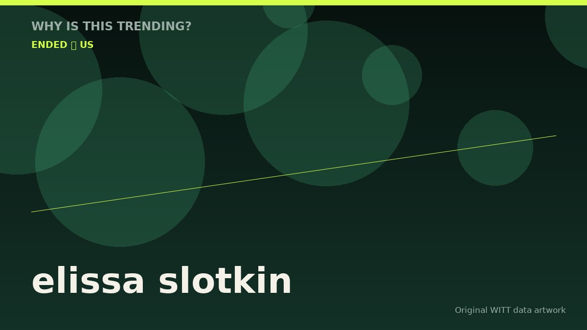 elissa slotkin original attention timeline illustration