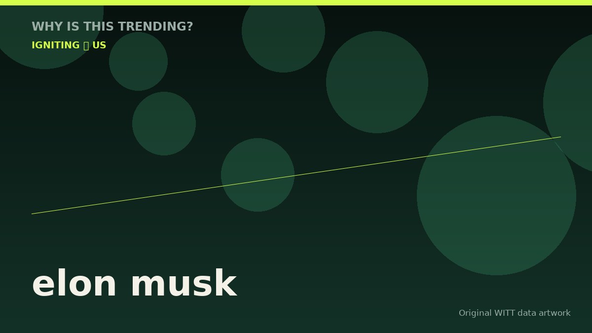 elon musk original attention timeline illustration