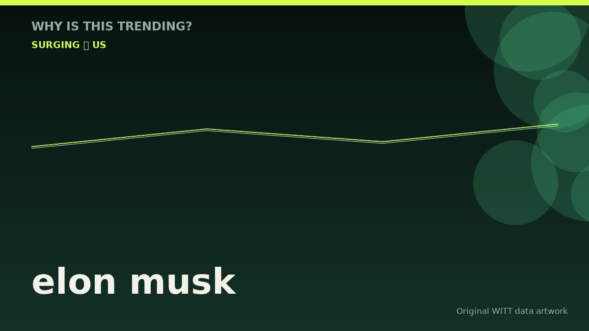elon musk original attention timeline illustration