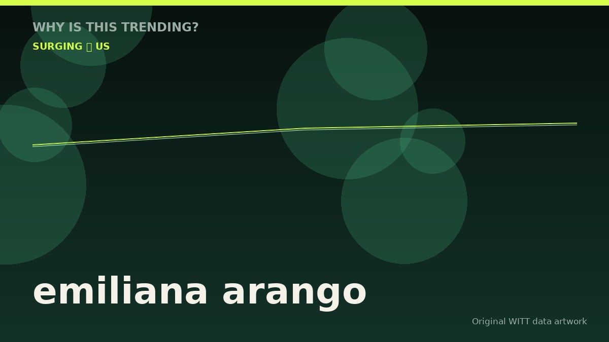 emiliana arango original attention timeline illustration