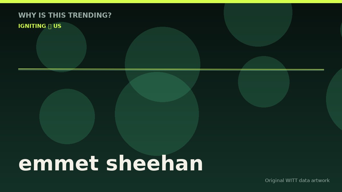 emmet sheehan original attention timeline illustration