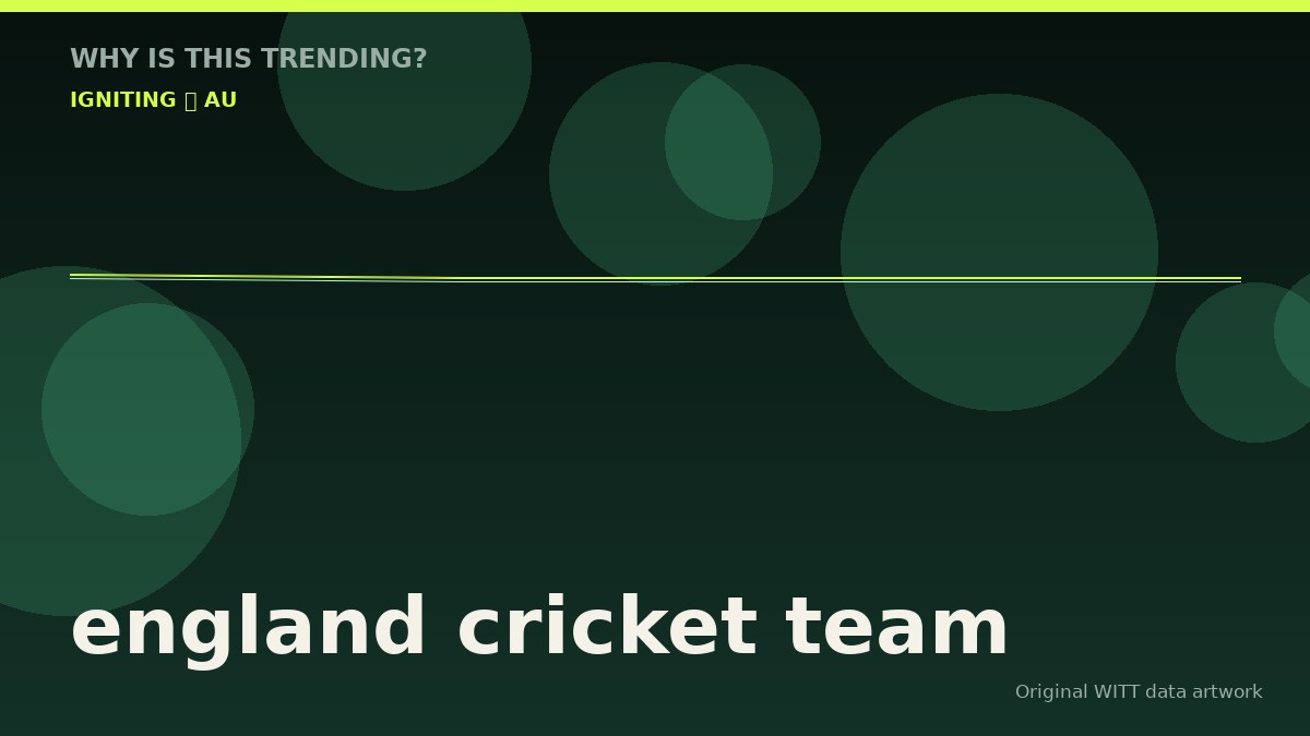 england cricket team original attention timeline illustration